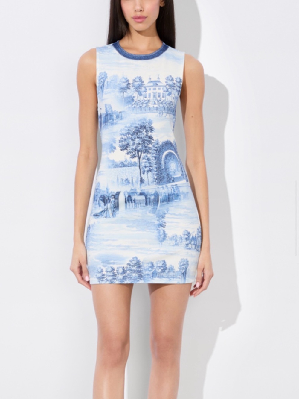 Alice + Olivia Blue and White Toile Mini Dress
